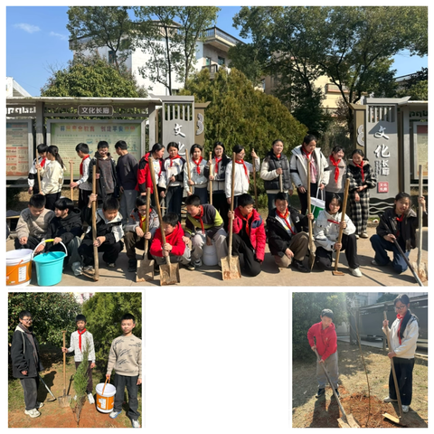 大溪乡中心小学“播种希望 拥抱绿色”主题活动纪实