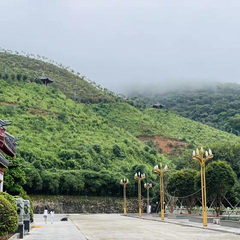 行知2025“跃动骄阳”公益运动营播报