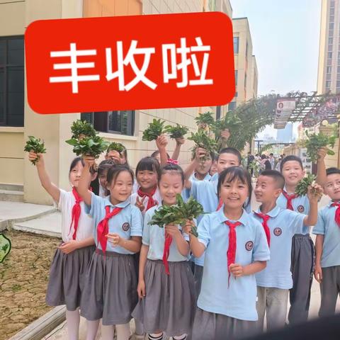 天悦小学三年级六班，一分耕耘，一份收获