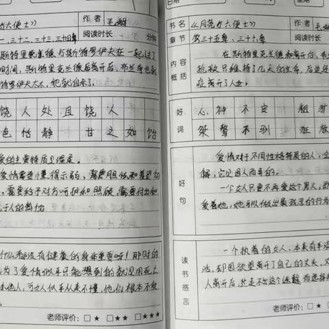 书香浸润暑假   阅读点亮人生  ——临漳县六朝园小学暑假阅读活动总结