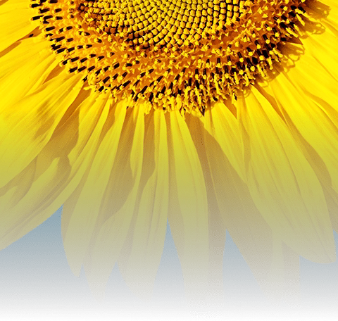 众人齐聚思源，共赴今夏之约———湘西自治州第四届（2025年）教师暑期全员集中培训保靖县小学语文培训班（保靖县思源实验学校培训点）