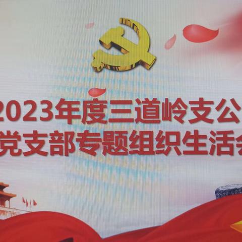 三道岭支公司党支部召开2023年主题教育专题组织生活会