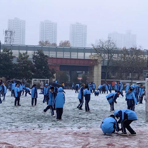 大雪至，爱意浓❄️ ——这一刻，我们在洛阳市外国语初级中学☃️