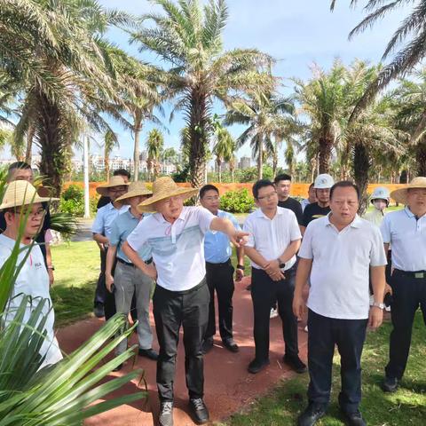 李翊副市长调研海口市岸线基础设施灾后应急修复工程和西海岸贯通更新工程