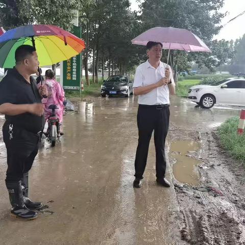 临蔡镇【雨情就是命令,汛情就是战场】