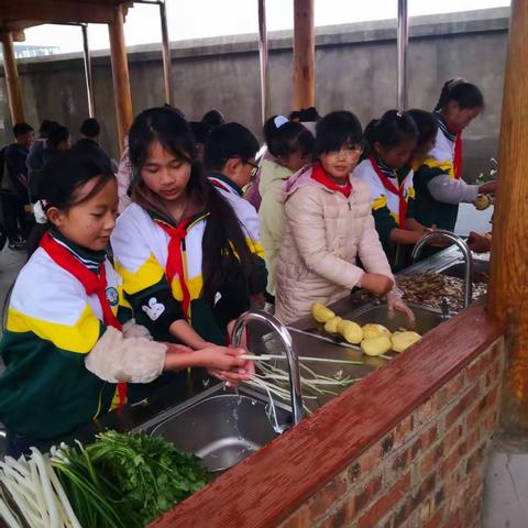 校园劳动实践：在汗水与协作中成长