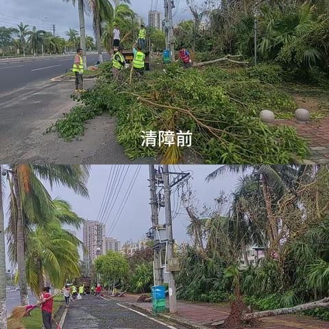 一方有难 八方支援| 海垦建工集团应急救援队伍驰援文昌（二）