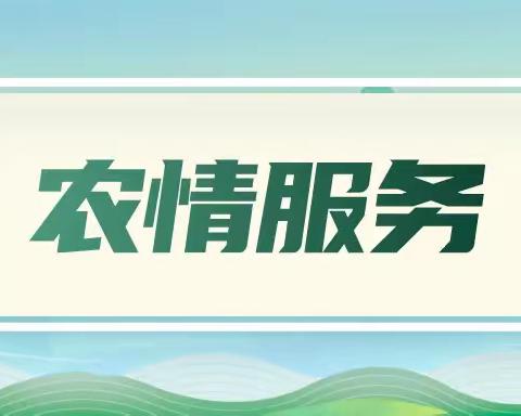 金融为民守初心  零钞取现启新程 沈阳分行率先实现全省系统内 ATM零钞取现功能