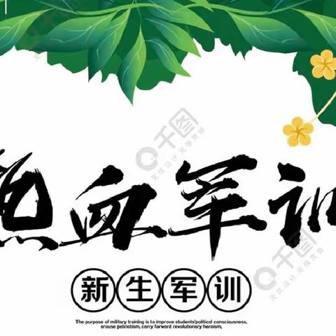 戎装少年意气发               神采飞扬书风华