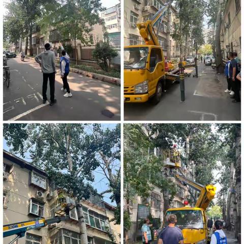 “修剪树枝除虫害，扮靓家园暖民心”山师东路社区开展环境整治工作