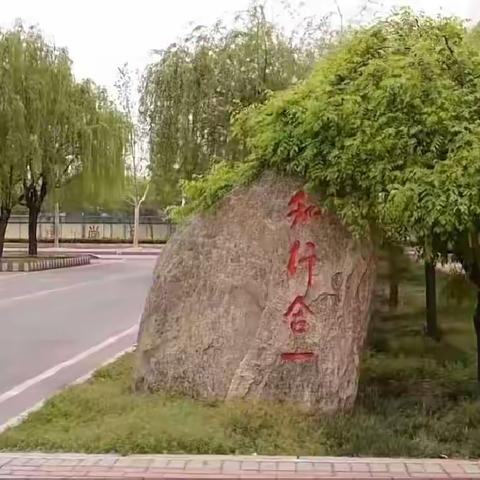 以"数"启思，笃学敏行——滨城区第四中学数学组教研活动