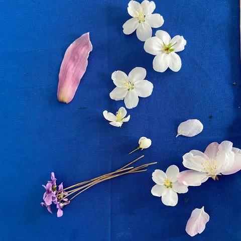 小小书签情～浓浓书香意———经开区青介中学开展特色书签制作活动