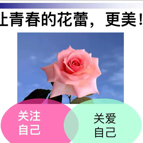 让青春的花蕾更美———经开区青介中学开展呵护女生心理健康活动