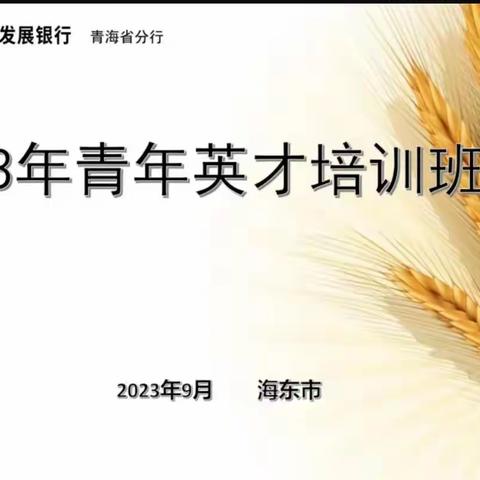 中国农发行青海省分行2023年青年英才培训