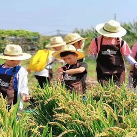 弘扬劳动精神  争当时代少年 ——劳动实践基地方案