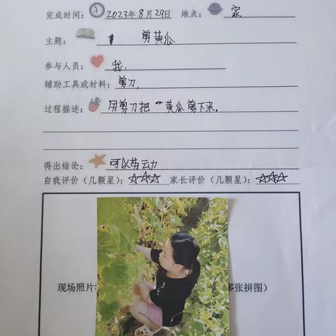 劳动一“夏”，“暑”你最棒——2023年舍伯吐镇第二小学中高段暑假劳动实践活动美篇