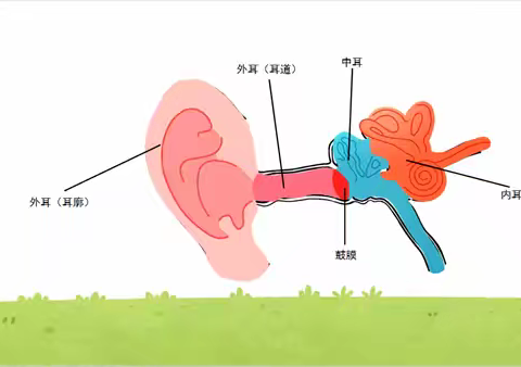 “小小耳朵大世界 听见成长的秘密”——上派镇中心幼儿园观澜印象分园爱耳日主题活动