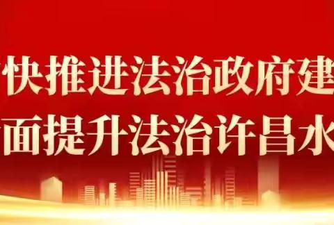 精磨细研凝硕果  分享交流共成长——许昌市瑞昌路小学英语教研组小课题分享