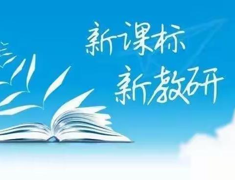 同课异构巧设计，异彩纷呈显匠心——记平邑街一骨干教师参加临沂市小学数学新课标新教材培训会议