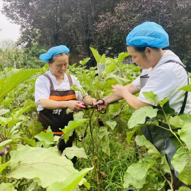 温馨家园，健康食光 —— 长乐宫老年公寓无公害食材餐饮新体验