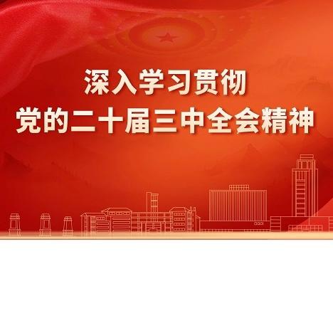 “三同步”工作方法推动学习贯彻党的二十届三中全会持续走深走实见成效