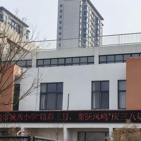 精彩三月，龙跃凤鸣