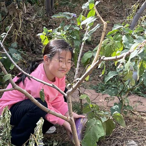 【丰收的秋天】小哈的采摘日记