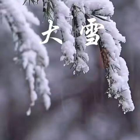 传统习俗二十四节气之“大雪” 跟同学们一起知“大雪”，吃“大雪”，玩“大雪”！