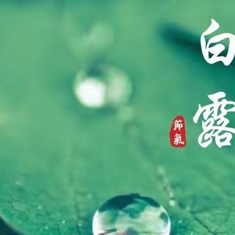 【“三抓三促”行动进行时】“秋风生白露，露至秋意浓”—靖远县第七幼儿园白露节气主题系列活动