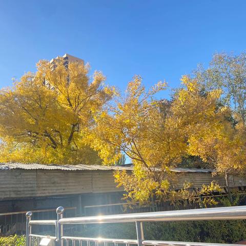 平城区第四十九小学校数学大教研