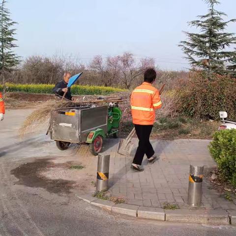 红山街道:全力开展环境整治，村容村貌提升显实绩