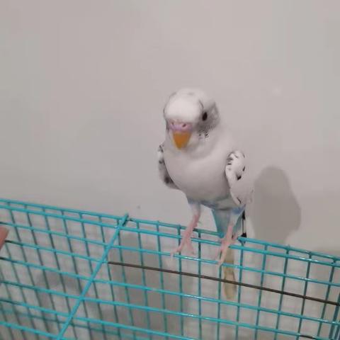 用户13399386的简篇