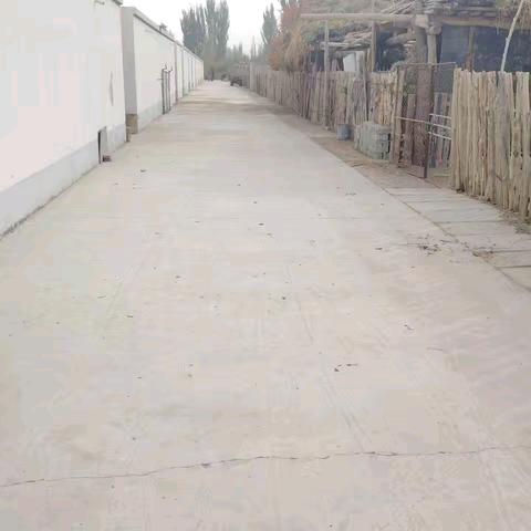 沈彦玲的简篇2024101609