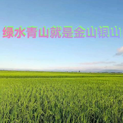 沈彦玲的简篇2025020703