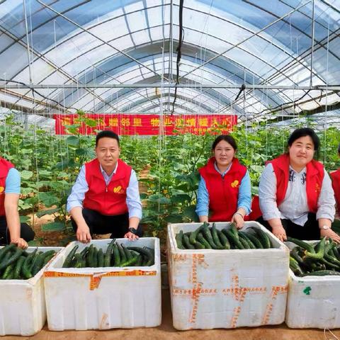温情母亲节 爱心助农行——甘棠街道站北社区携手碧桂园物业传递暖心爱意