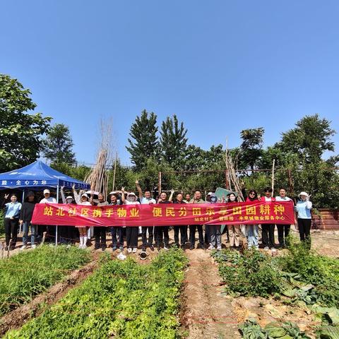深耕共享田园 乐享丰收实惠｜甘棠街道站北社区携手碧桂园未来城开展田园耕种惠民活动