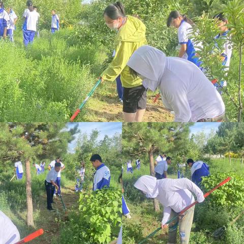 坤都岭学校劳动实验基地——劳动最光荣