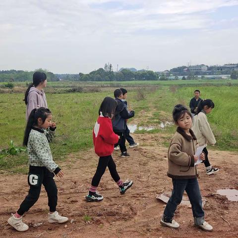 【阳光驿站】上畈村开展“悠悠艾草香，青青艾米果”清明主题活动