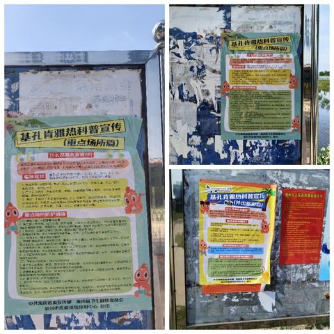 新州镇泮山村开展预防‘‘基孔肯雅热’’宣传工作