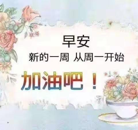 善福中心校十一月二十日工作汇报