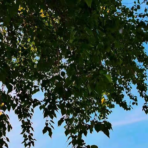 “趣”享运动，“童”样精彩