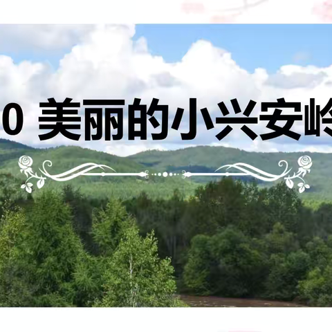 跟着课本去旅行——平邑兴蒙学校三年级陈青老师校级公开课《美丽的小兴安岭》