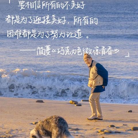 八（3）班🌸星海漫漫，步步生花