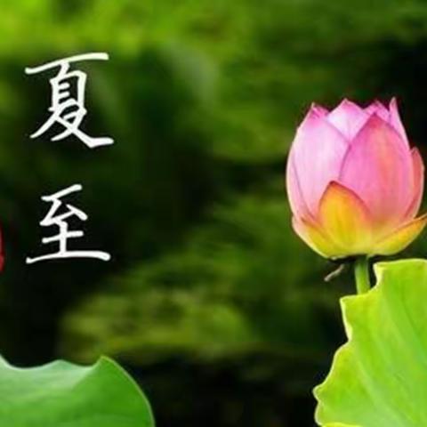 “疫”样时光，“童”样精彩《夏至已至，消夏避伏》——房山幼儿园分园小二班