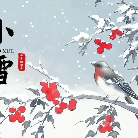 轻盈小雪至 小雪暖寒冬 ——中二班第十二周周小结