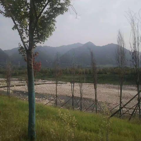 健步走感想     戒毒所李恒涛