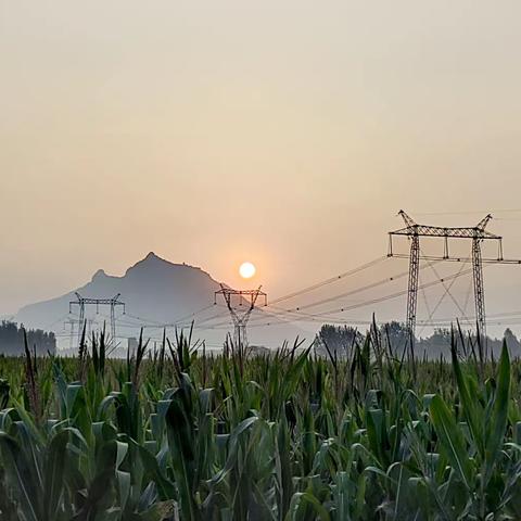 日出东山。