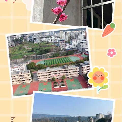 春暖花开  学习正当时🌸🌸🌼🌼