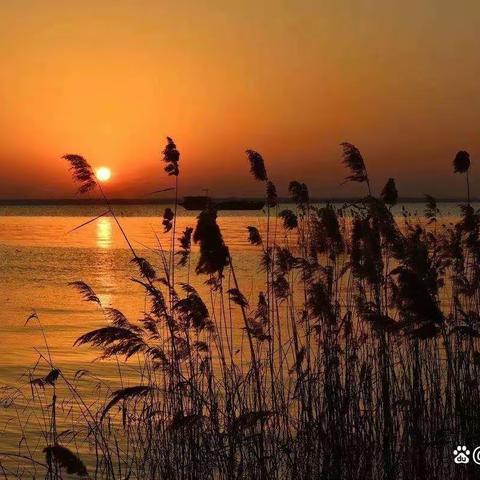 【翟传英】高效课堂，勤于深耕——记宁陵二高高三语文组教研活动