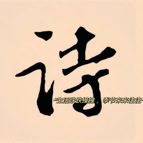 【翟传英】业务活动大舞台，青年教师展风采——宁陵二高教研活动剪影